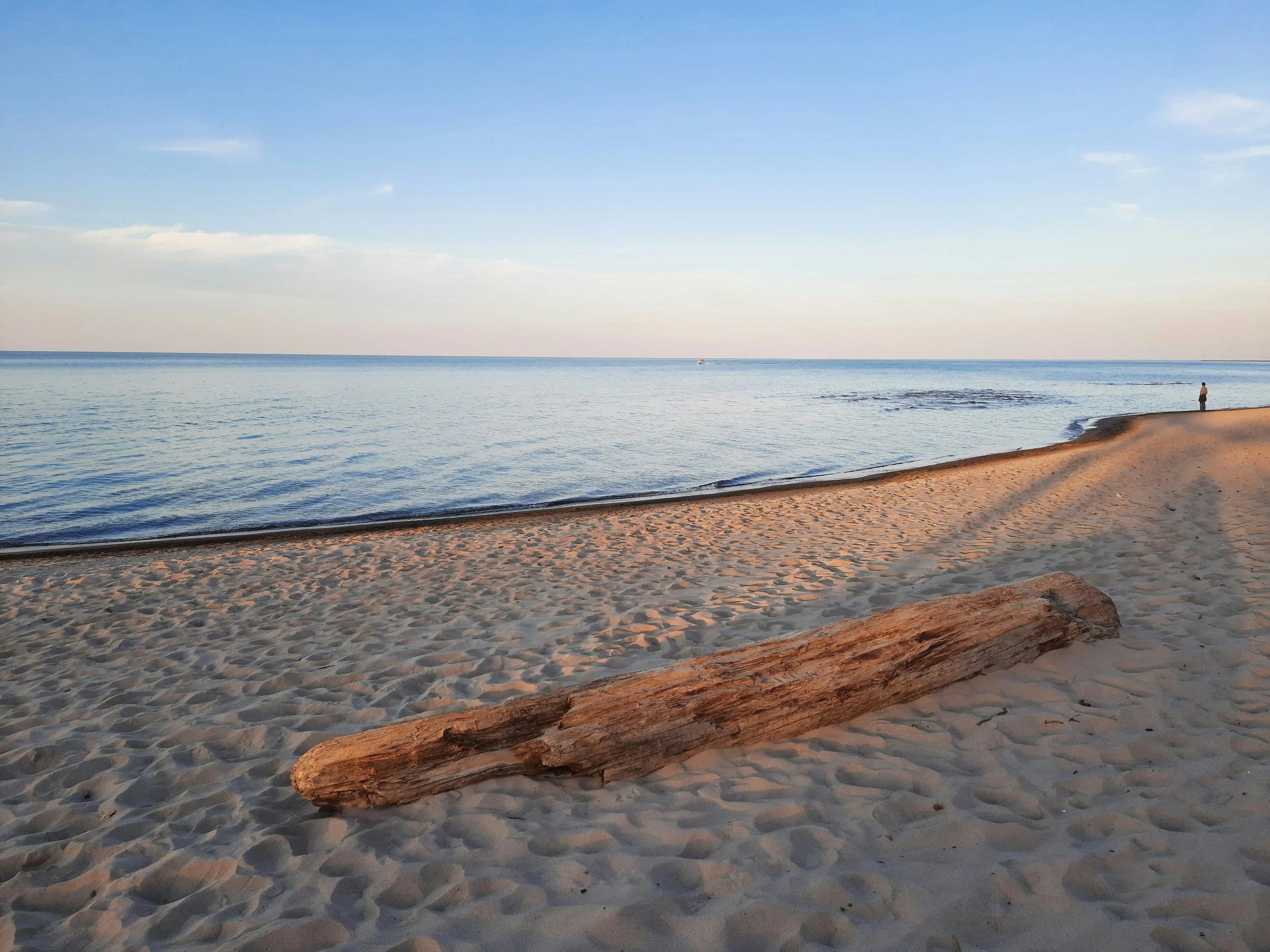 a sandy beach with a large piece of driftwood bordering a lake during sunset