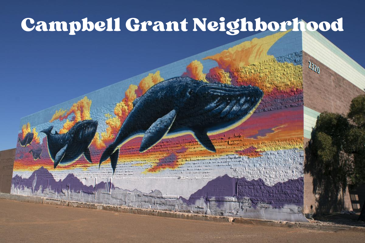Tucson Murals of wales on grant and campbell ave