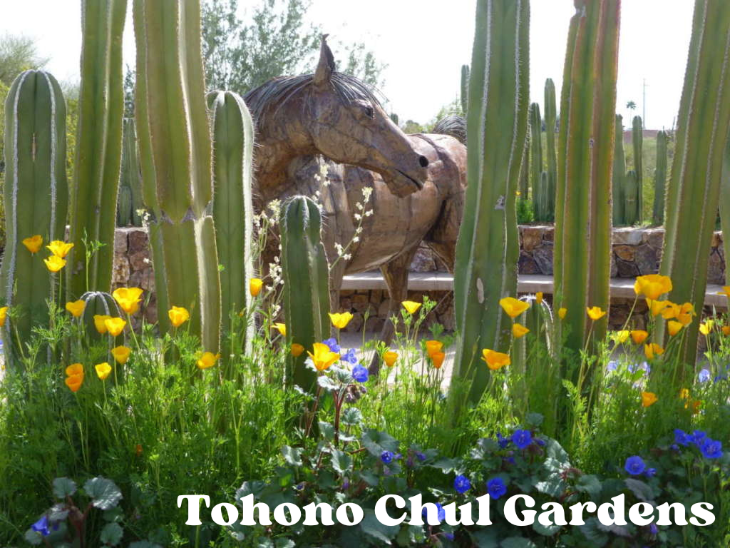 Tohono Chul Gardens