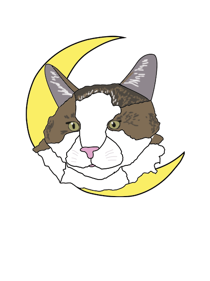 cat with moon.png