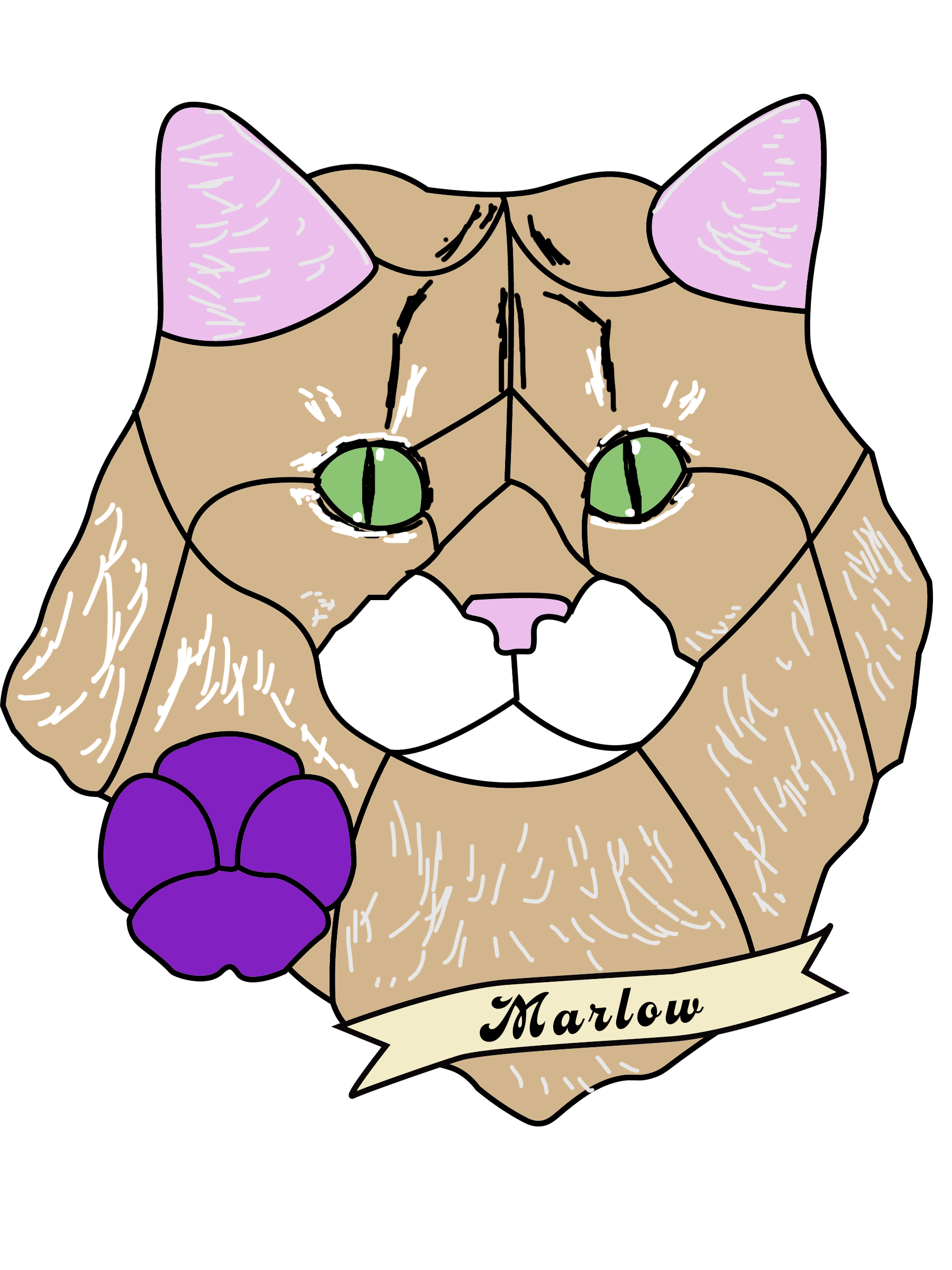 peony cat example.png