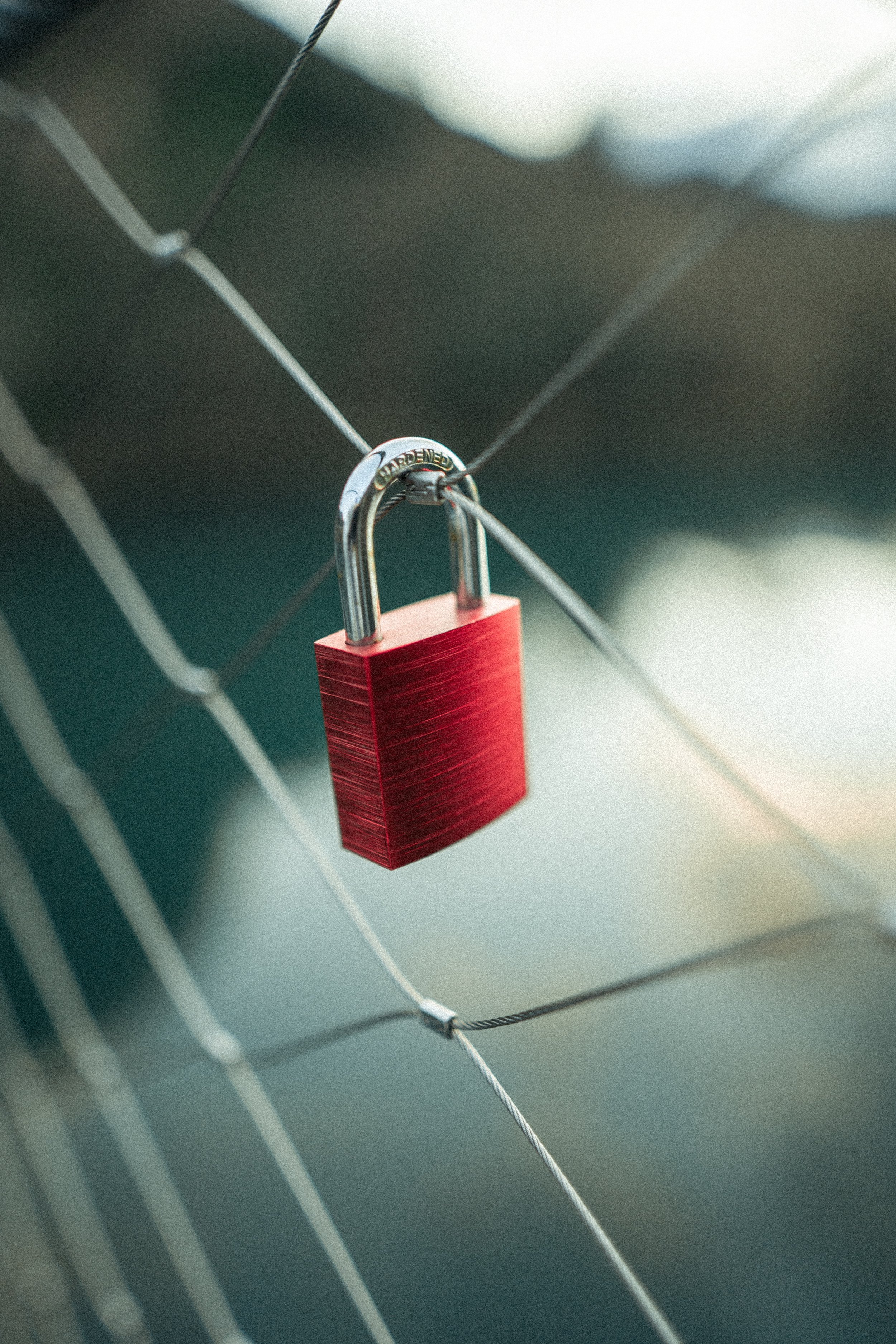leonie-zettl-0vGohk5aw6E-unsplash.jpeg
