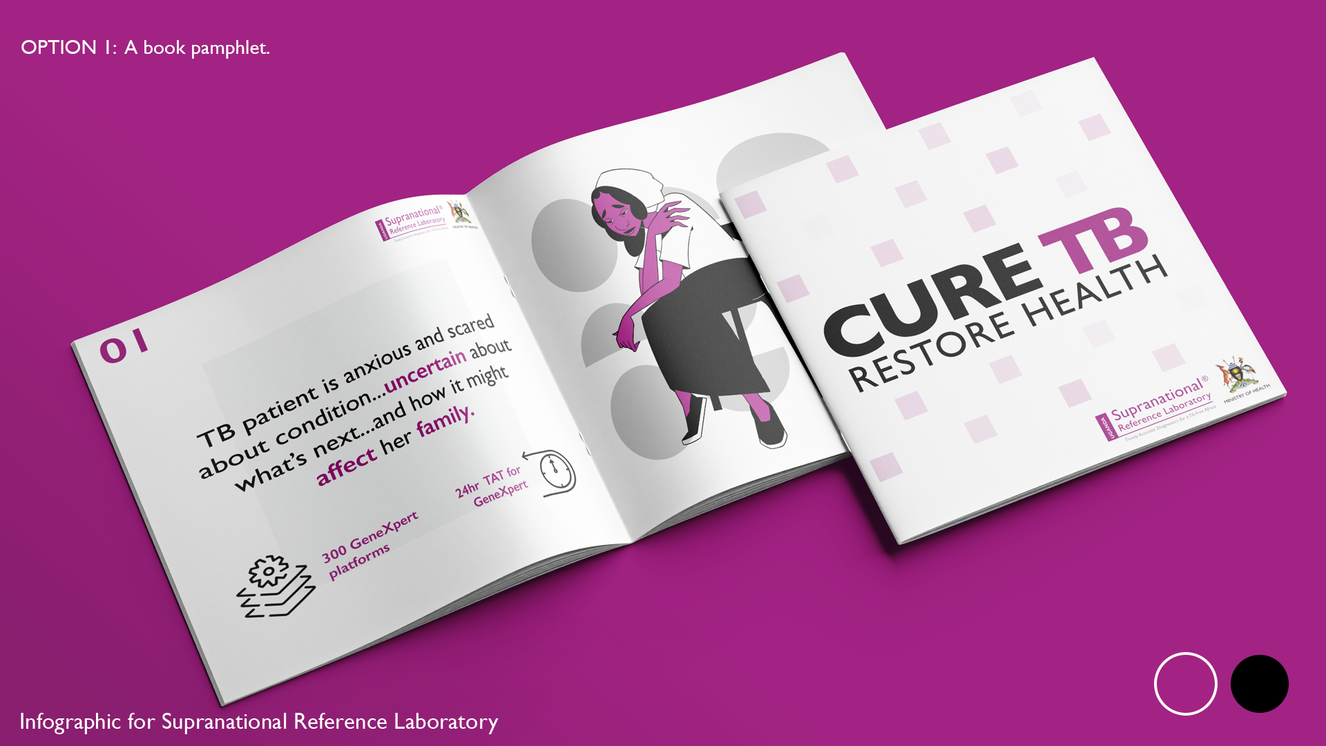 SupranationalRefLab_MockupBookPamphlet (1).png