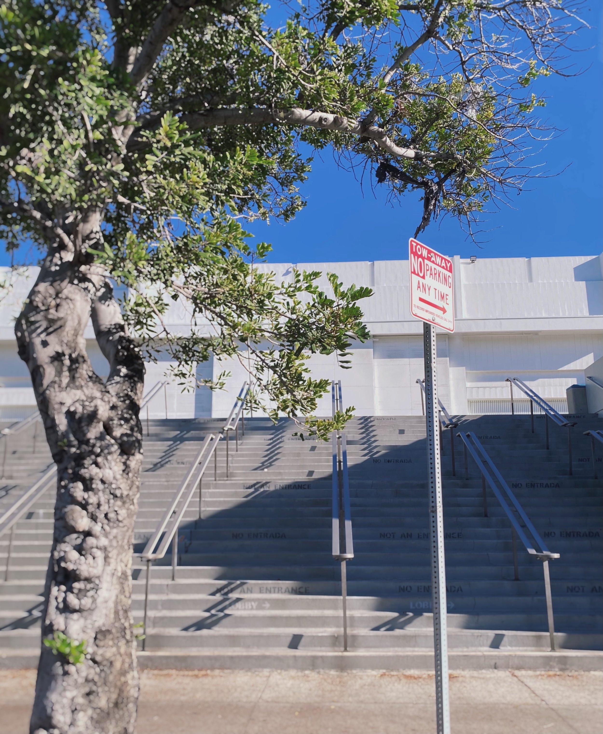 FullSizeRender 9.jpg