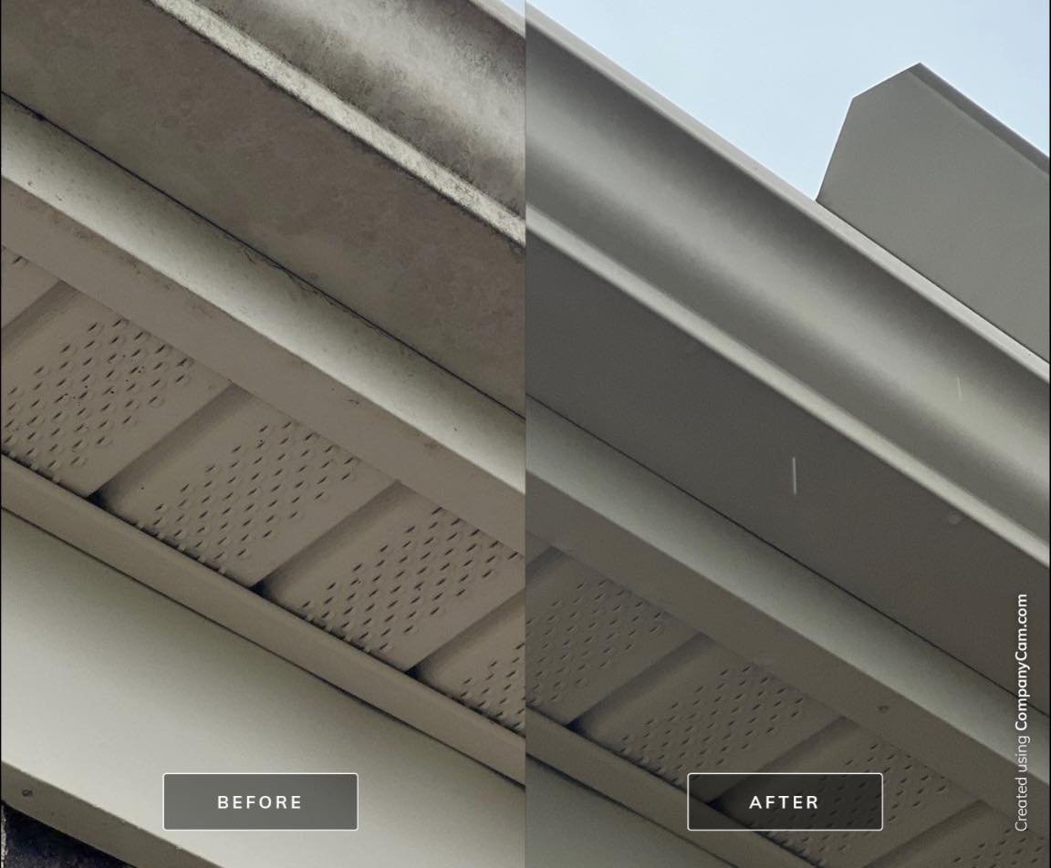 House Washing in Cincinnati: Before &amp; After Results That Protect Your Home