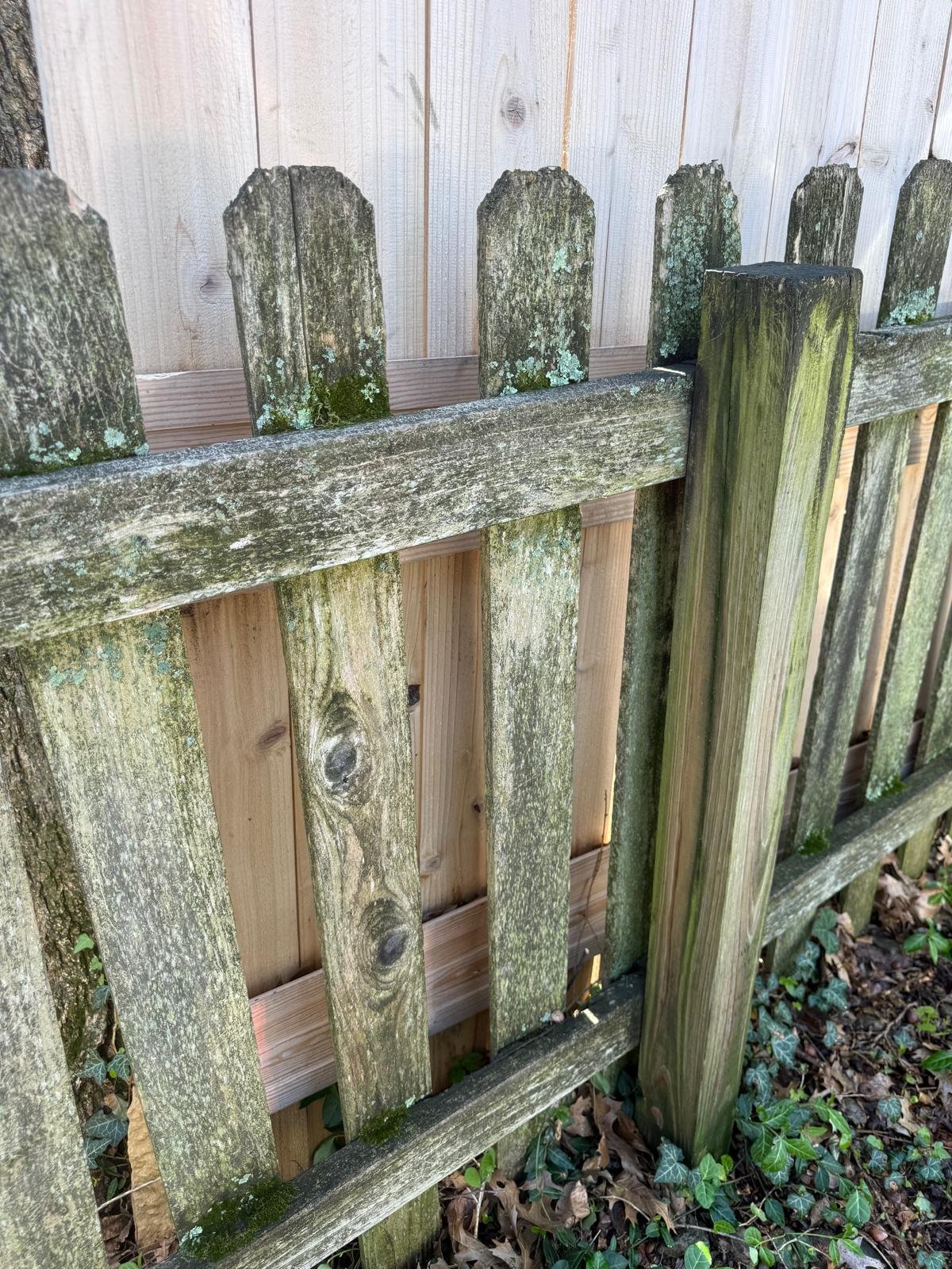 Wood Fence Cleaning in Cincinnati, OH: Restore Your Fence Without Damage