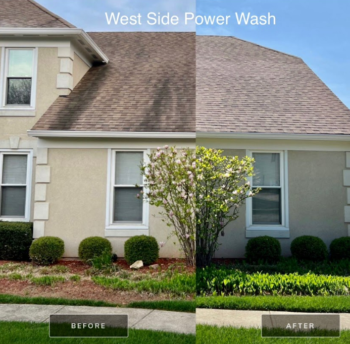 Roof Cleaning in Your Area: The Truth About Those Black Streaks (And How to Fix Them Safely)