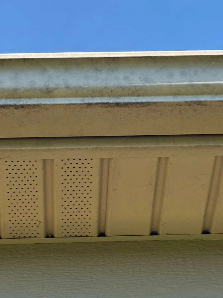 Professional Soft Washing in Cincinnati, OH | West Side Power Wash