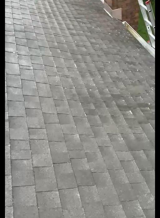 Roof Cleaning in Cincinnati, Ohio: Why a Professional Roof Wash Can Make a Huge Difference