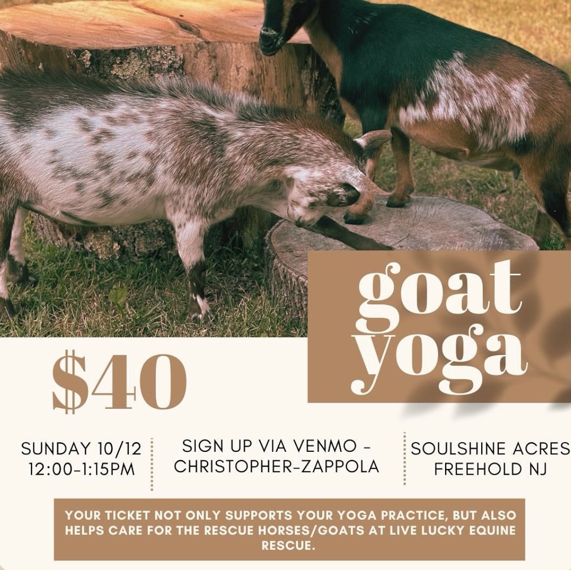 Goat Yoga