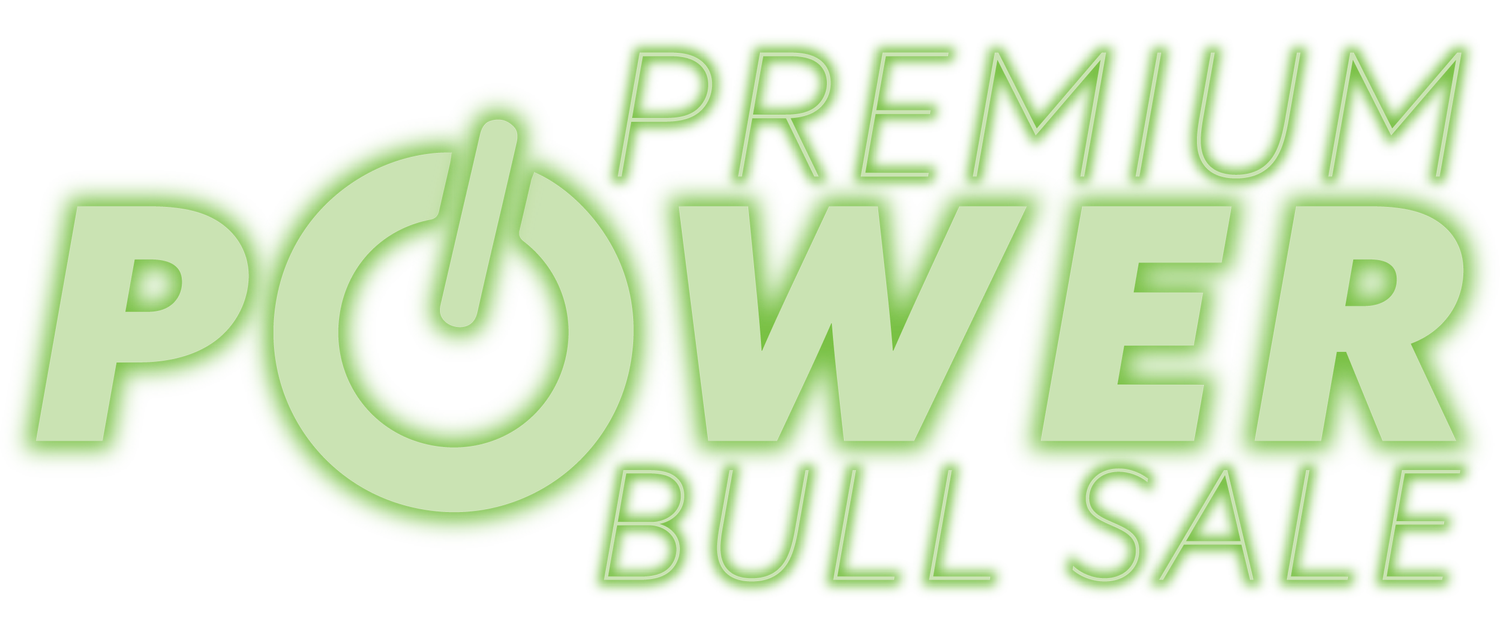 Premium Power Bull Sale