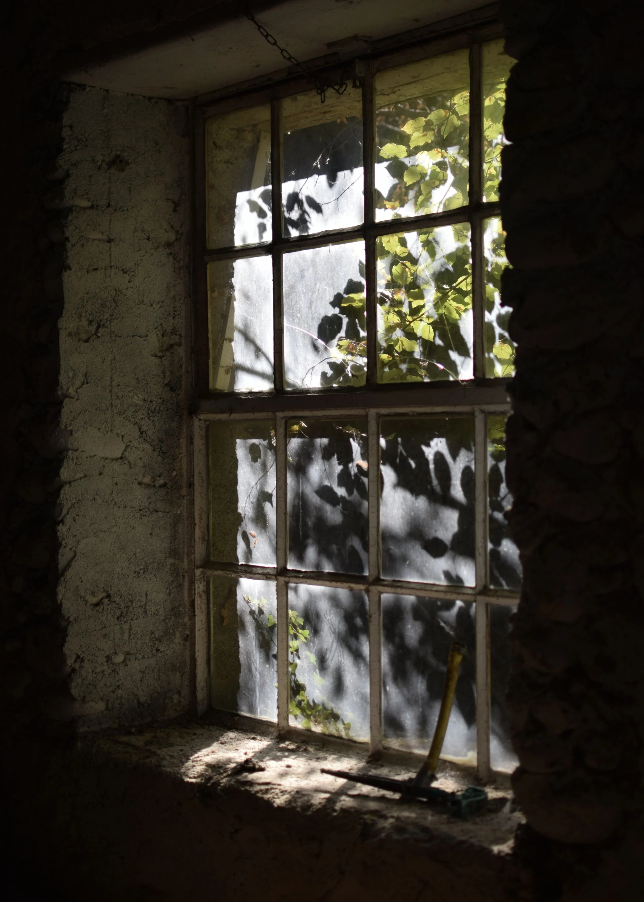 Whatever Brings You Joy