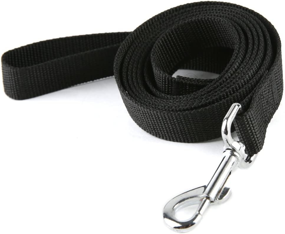 6ft Dog Leash