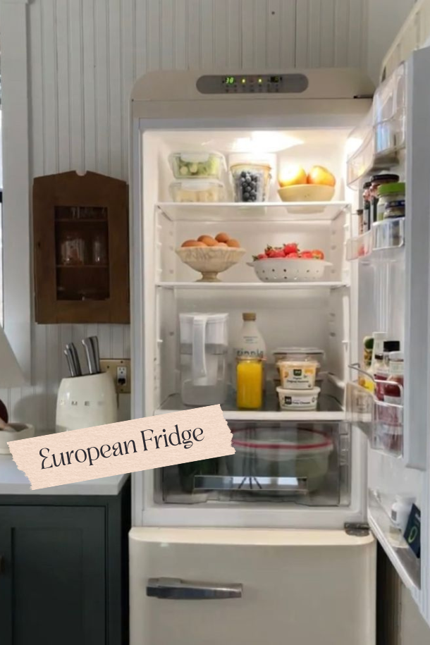 European Fridge Stocked.png