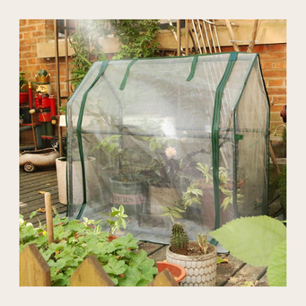 Protection from birds and squirrels