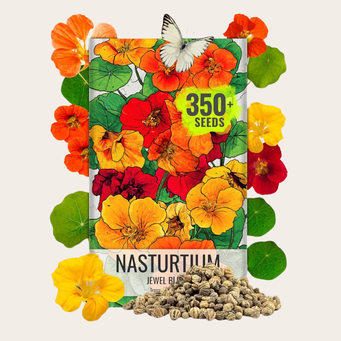 Create a trap for almost every pest