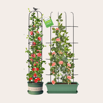 Trellises with style
