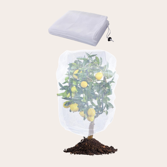 Mesh bags for fruit trees &amp; berry bushes
