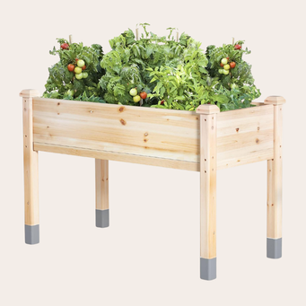 Raised Planter
