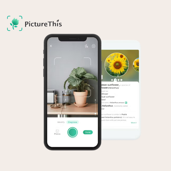 This Plant App is the BEST!