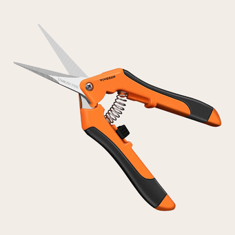 Pruning Shears