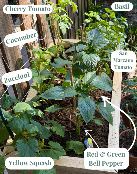 Vegetable Planter.png