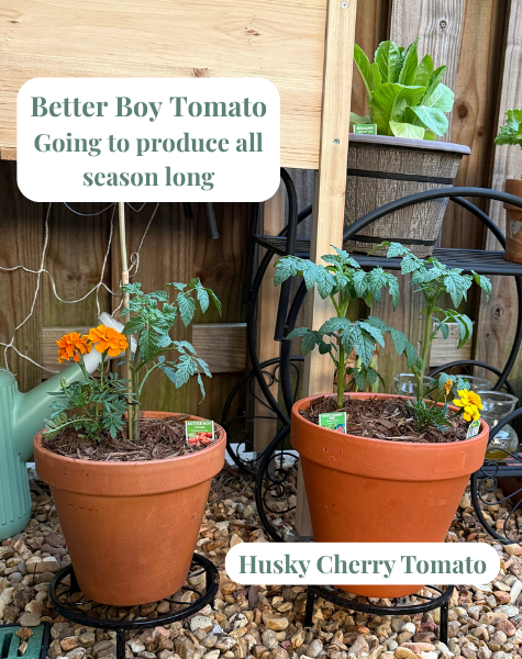 Never put your pots directly on the ground