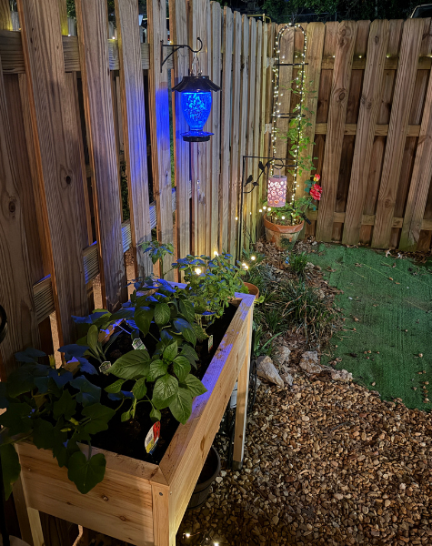 Solar Light Hummingbird Feeder