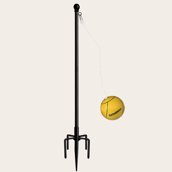 Tetherball - 452x341 px.png
