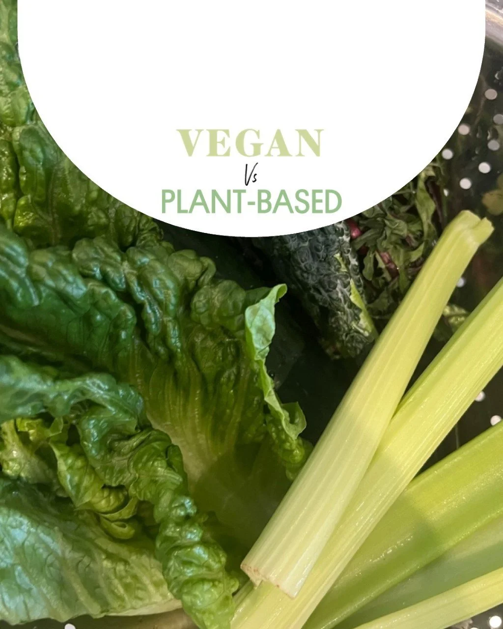 Vegan vs. Plant-Based