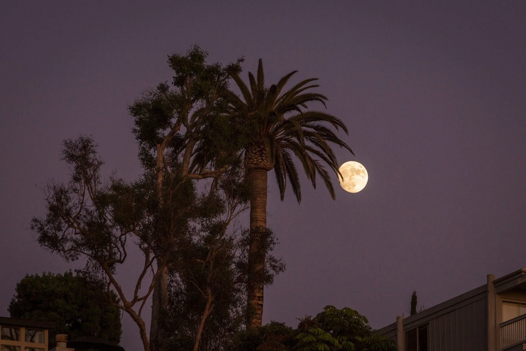 2022 Final Super-Moon and Aquarius Full Moon August 11th