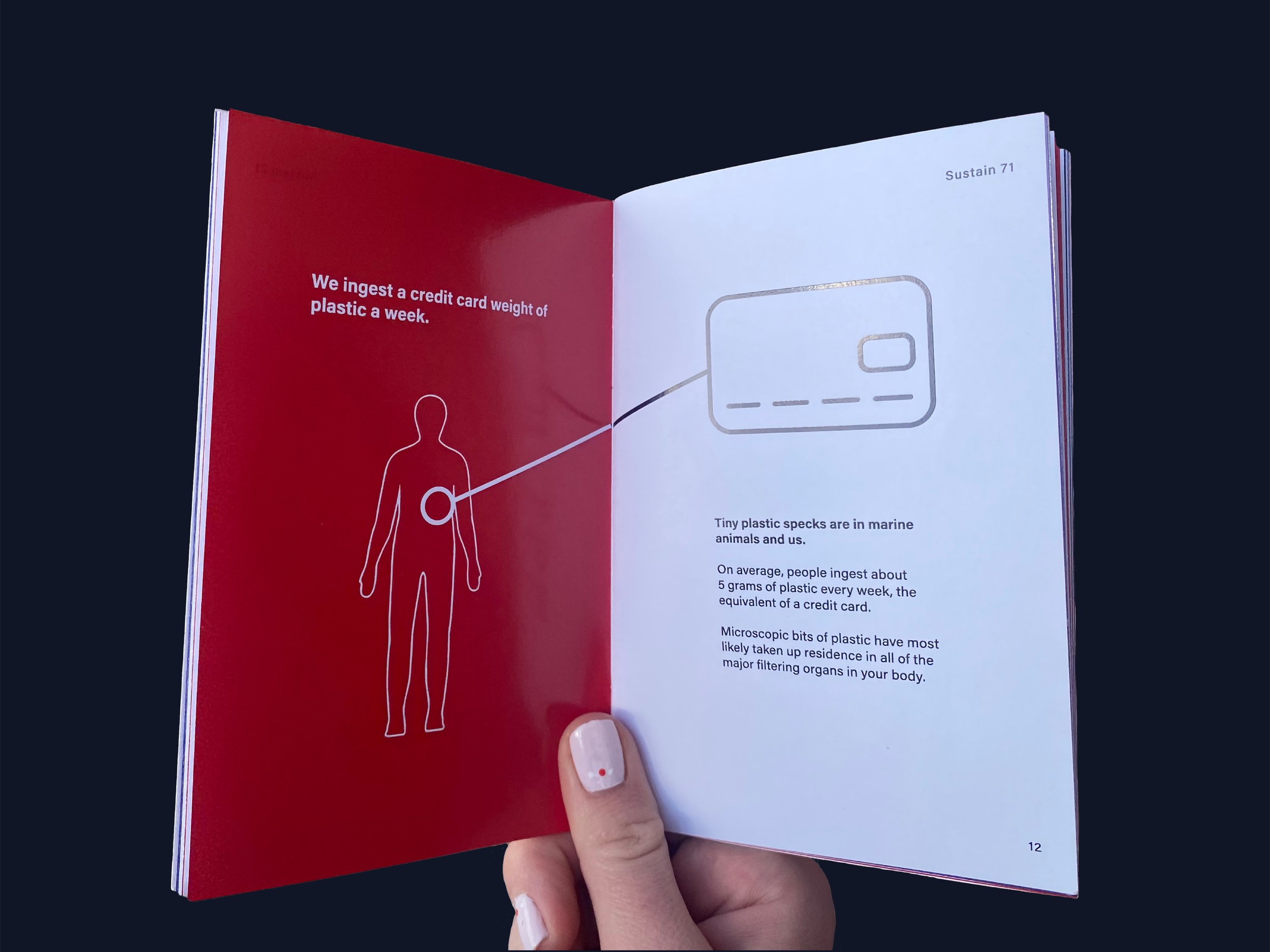 web-mockup-book-sustain-07.jpg