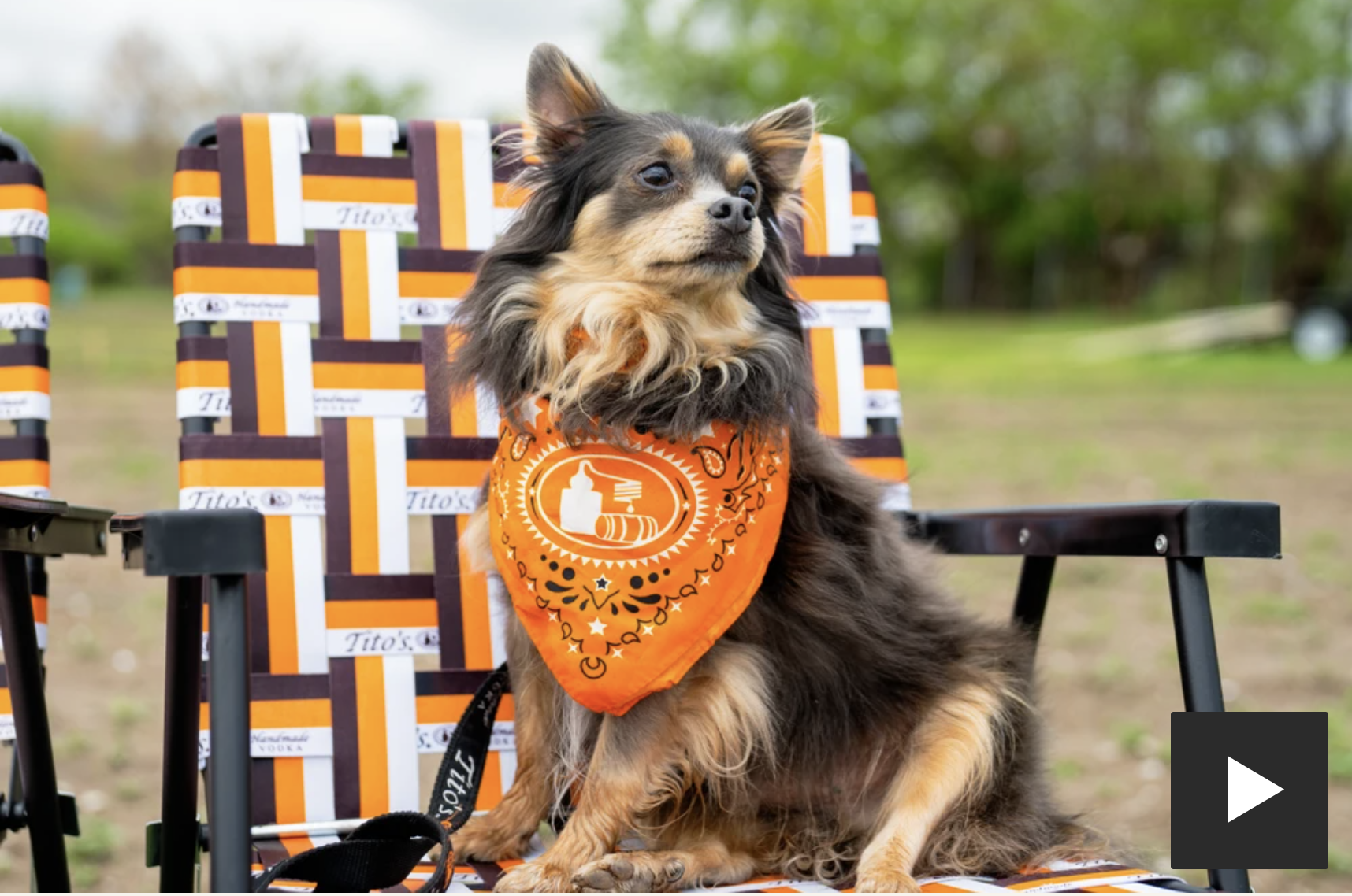 Love, Tito's