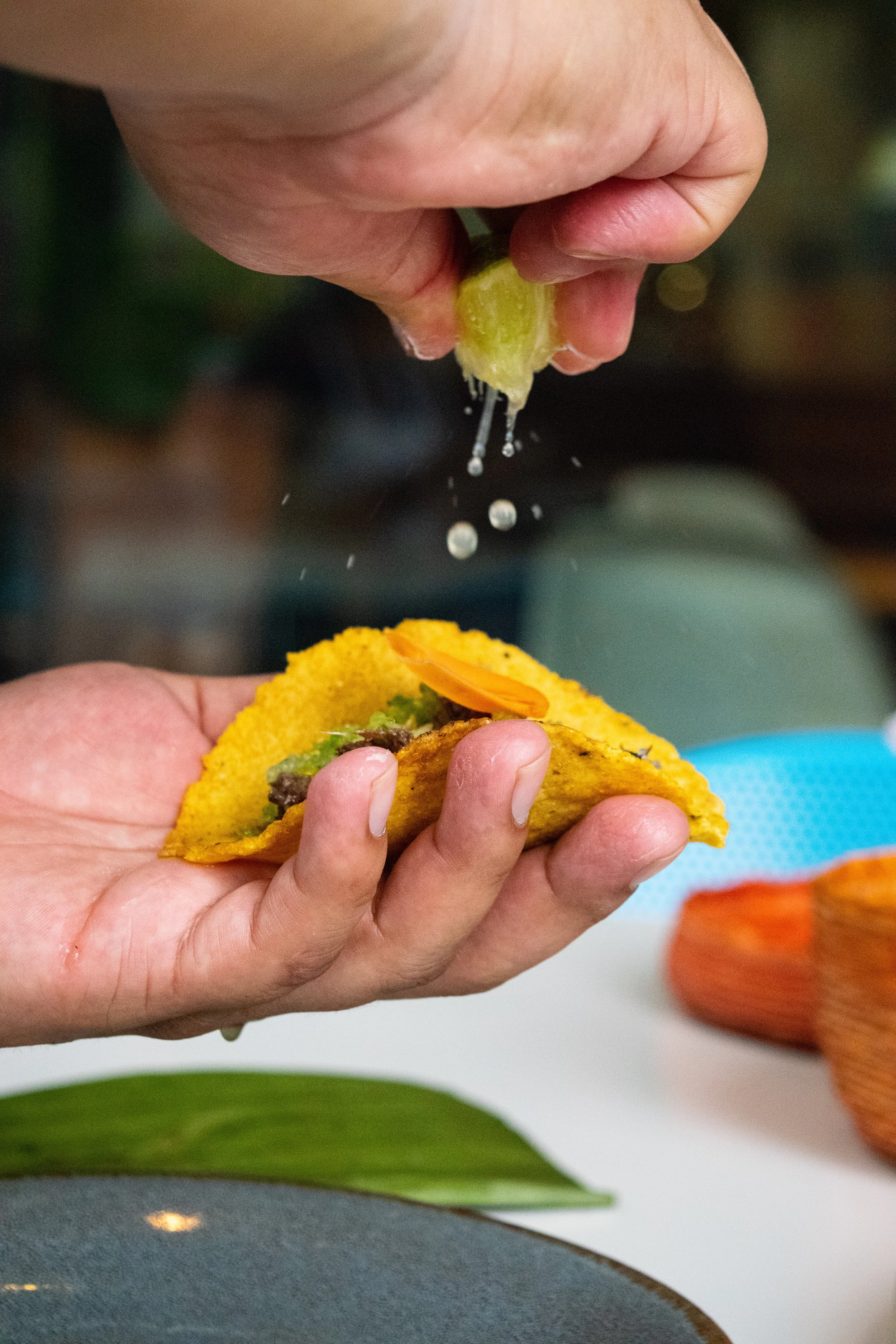 Copy of DSC_2805.jpg