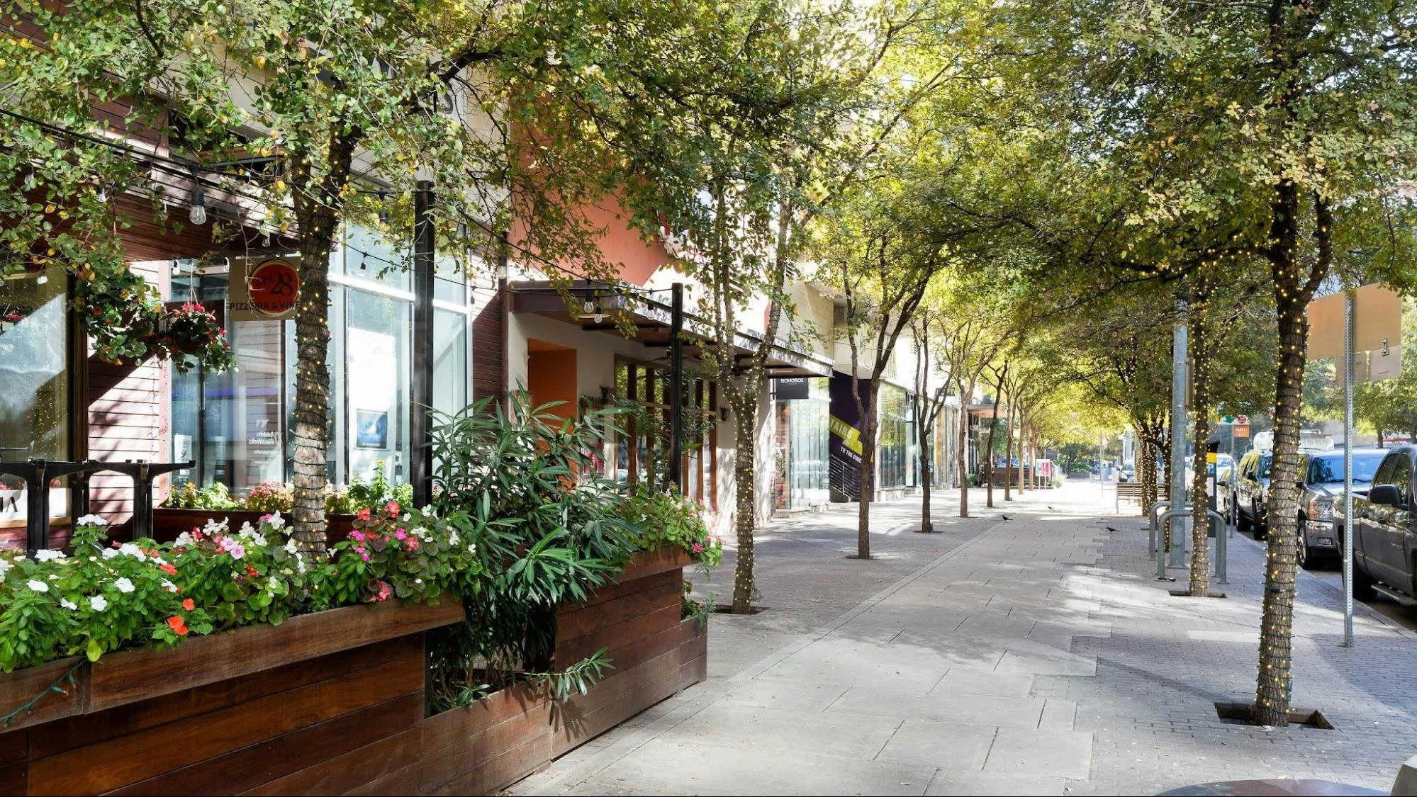 The tree-lined streets in the heart of Downtown Austin.