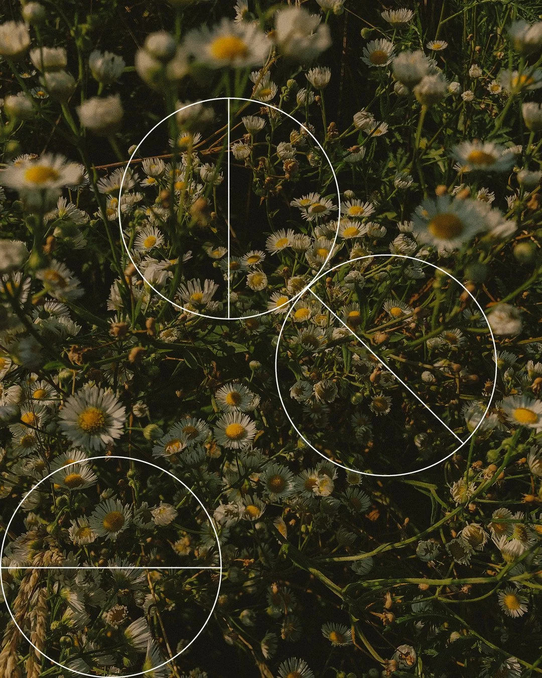 Moving away from relentless self-improvement