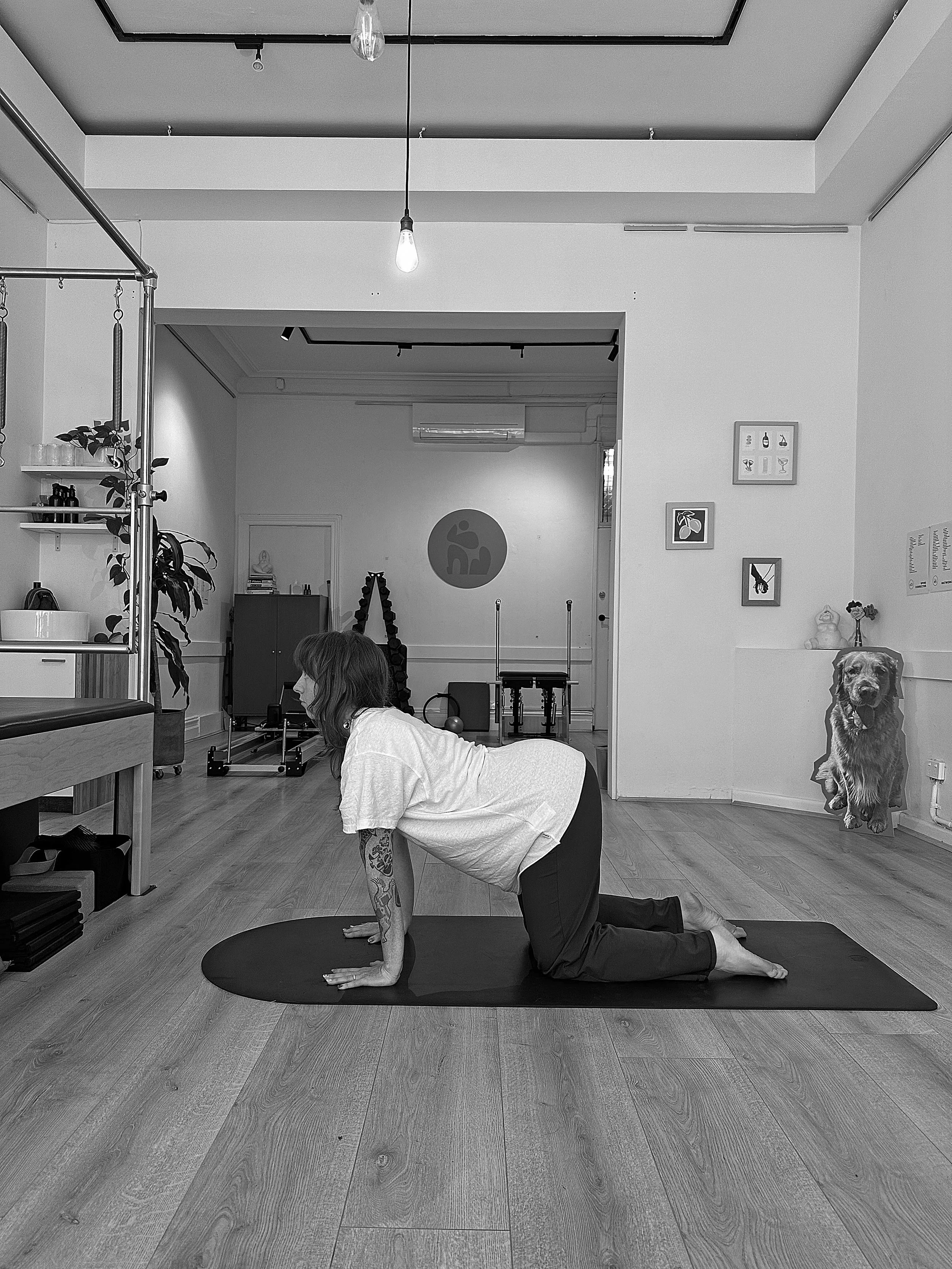 Private Pilates and yoga studio for hire in Collingwood, Melbourne — natural light, adjustable privacy blinds, and professional-grade apparatus at 20 Smith St