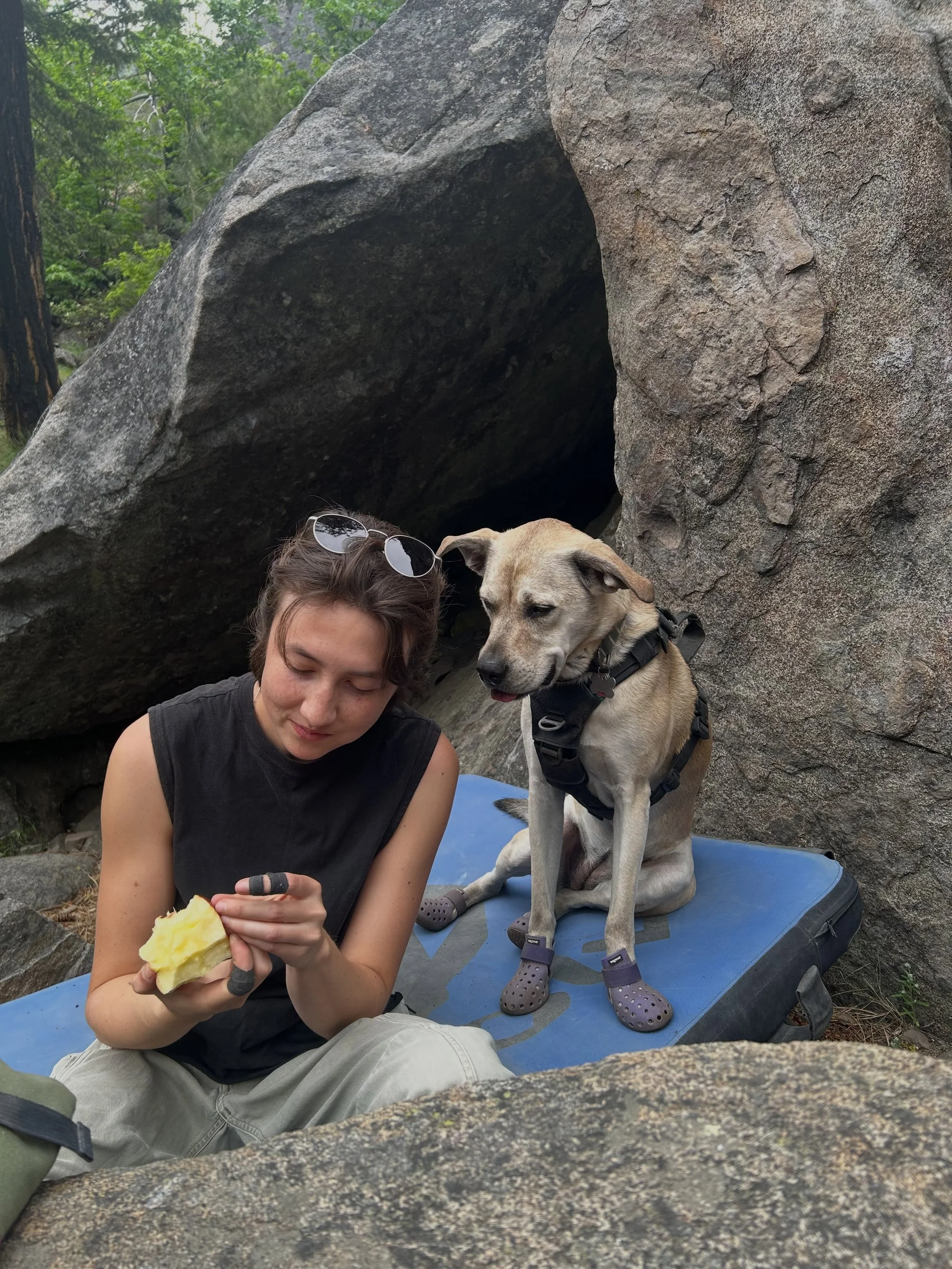Our next Flight of the Phoenix setter is Gib (any)! 
Gib has set for Boulders since 2022, and this will be their 3rd Flight of the Phoenix comp. If Gib were a source of light they would be a match. Gib&rsquo;s party trick is carving a spoon (as long 