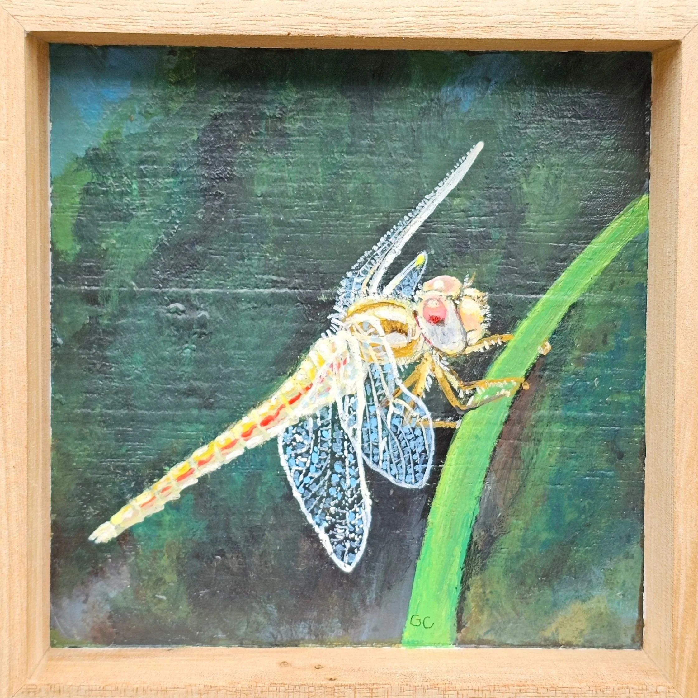 Dragonfly, acrylic on wood 2025
