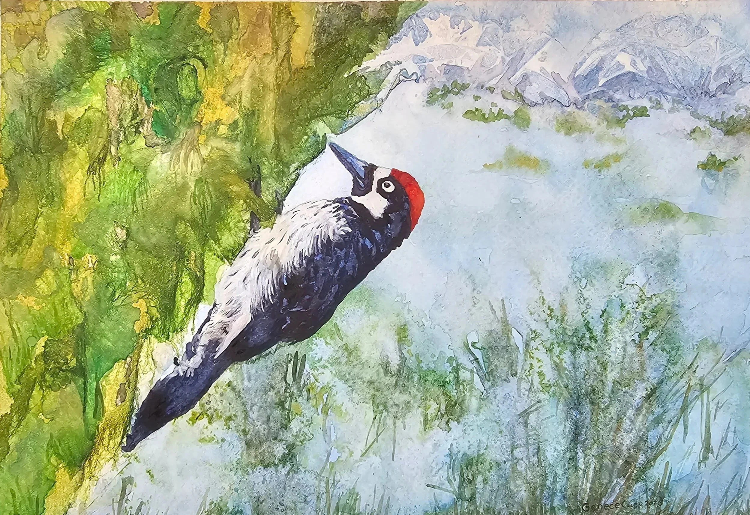 Woodpecker: Breakfast with a view, watercolor, 2023