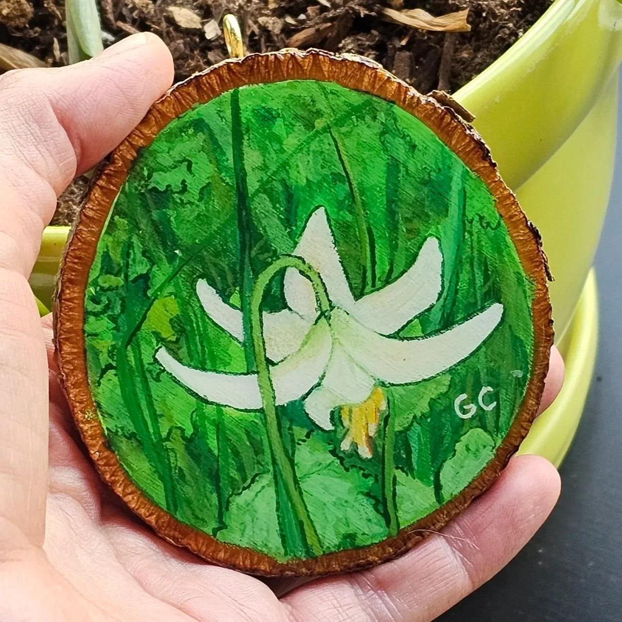 Fawn Lily on a wood cookie, gouache and resin, 2023