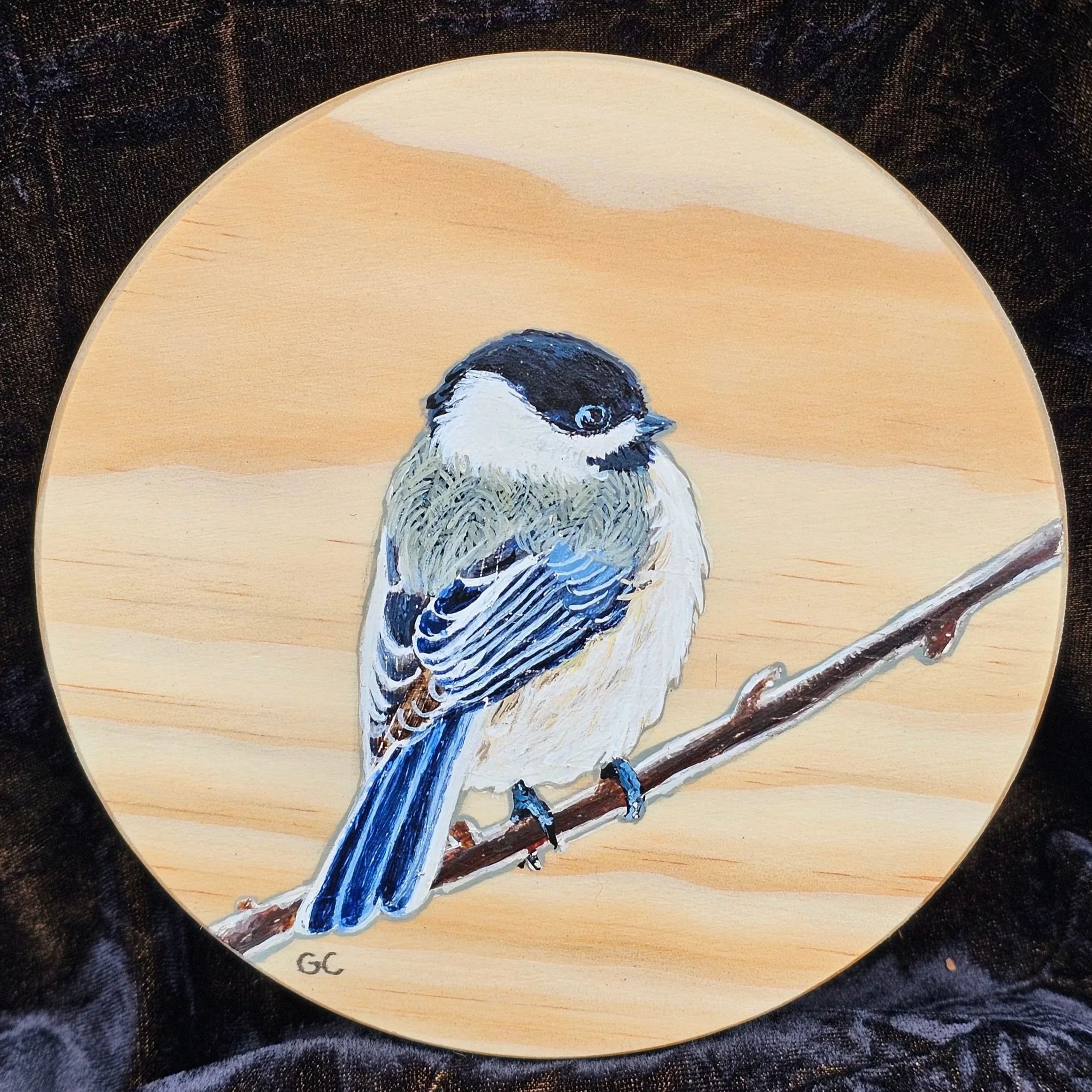 Chickadee on wood, acrylic 2025