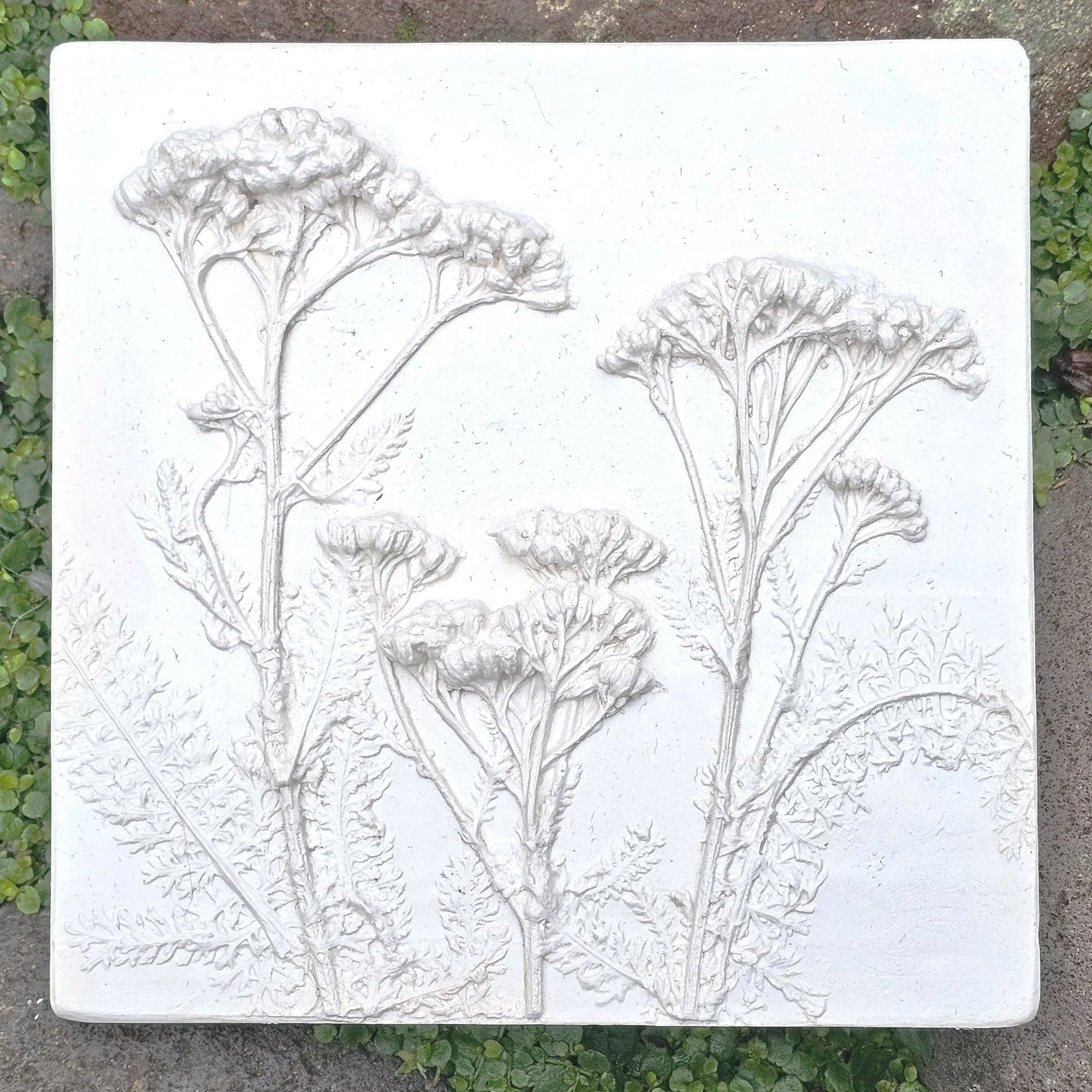 Yarrow plaster relief sculpture 2025