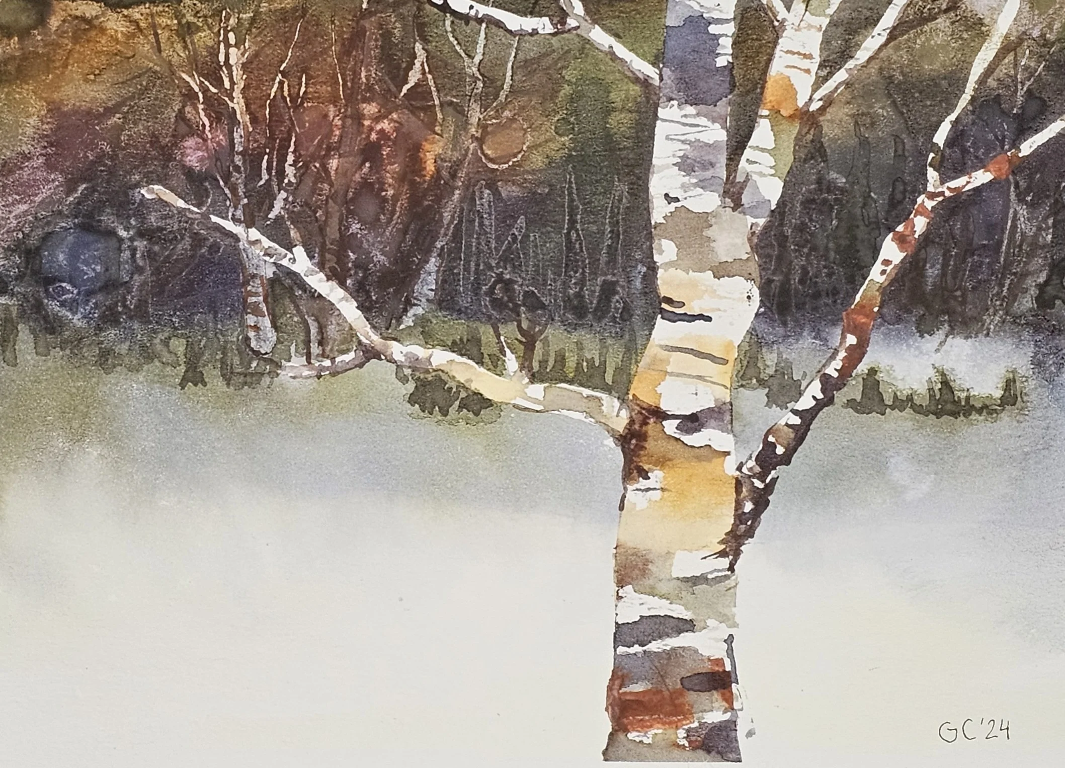 Winter Birch, watercolor study, 2024
