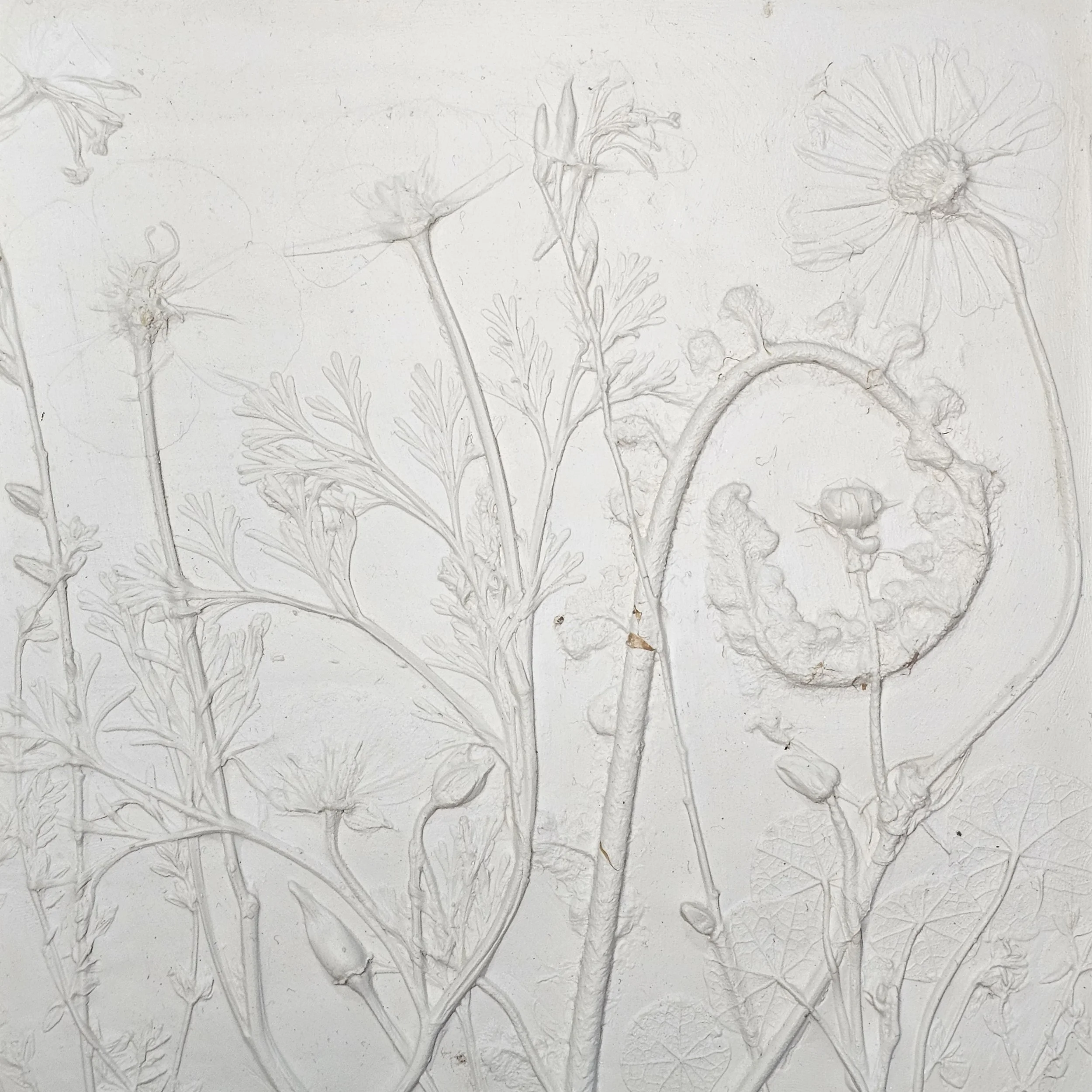 High Summer, plaster relief 2025