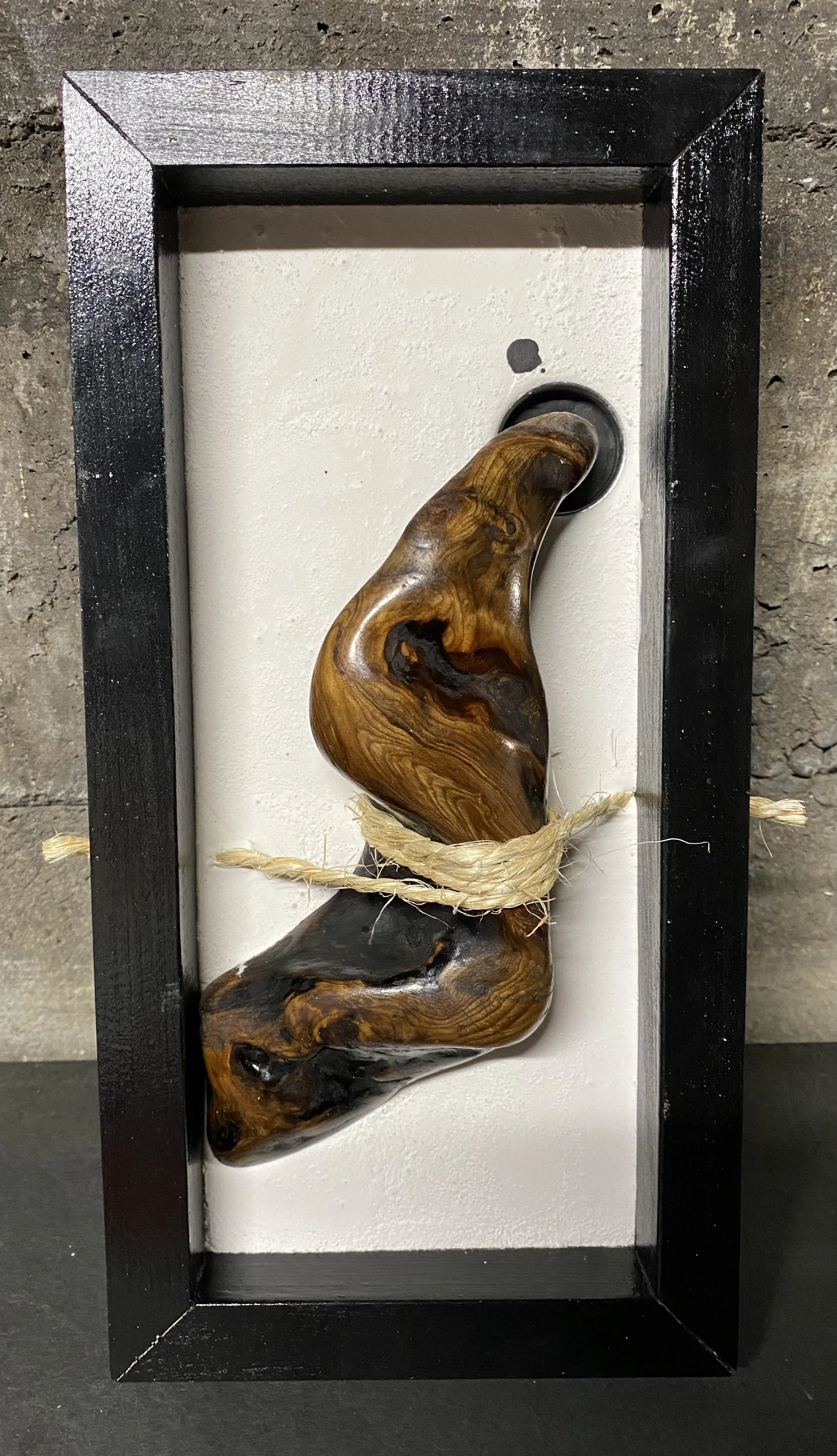 Bound Ocean Root w/ Black Hole - SOLD