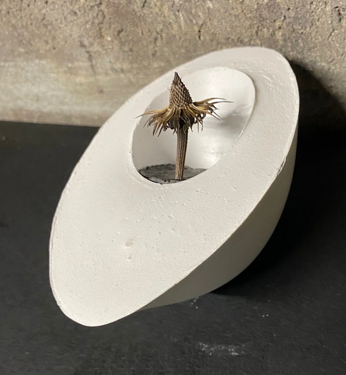 Handheld Oval with Dried Bloom - SOLD