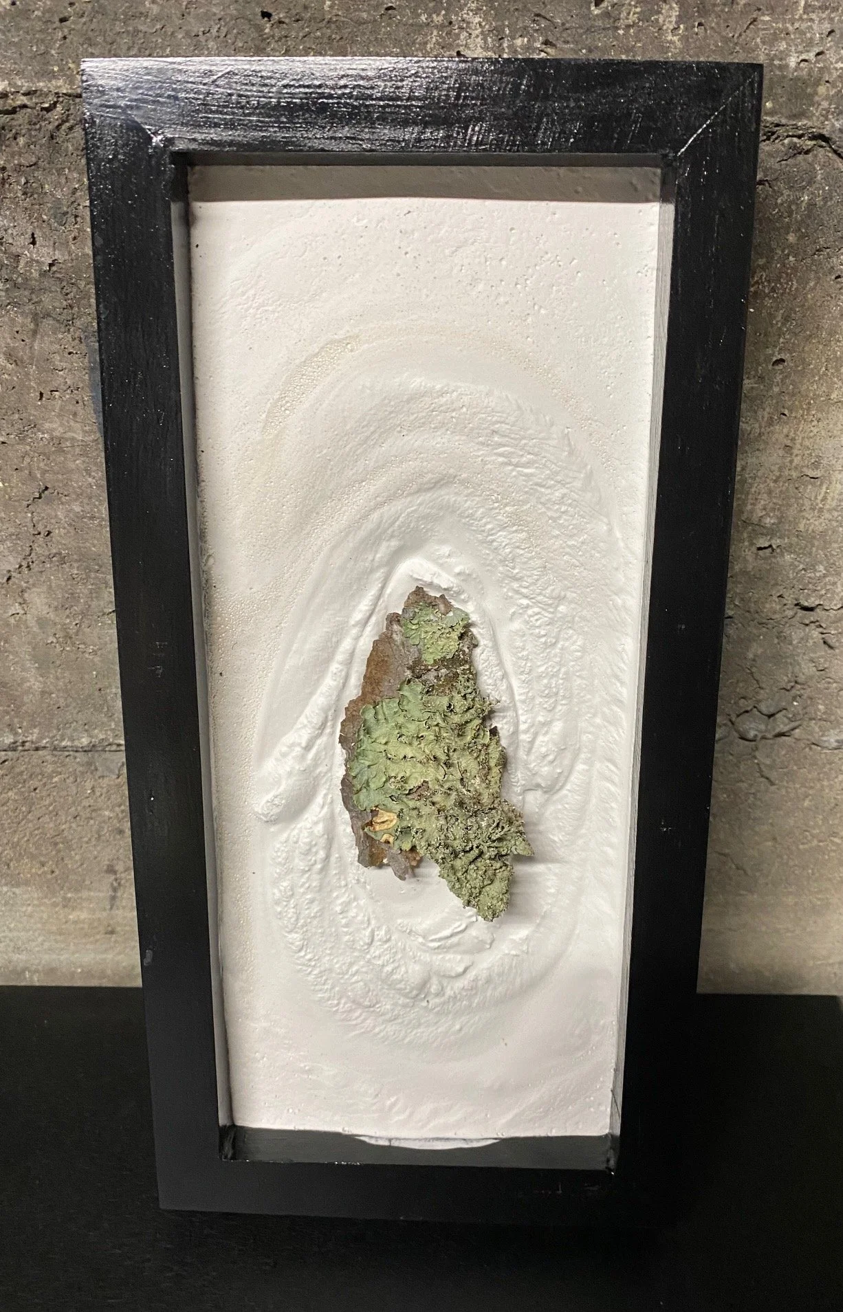 Lichen Bark in Oval Ripple - SOLD