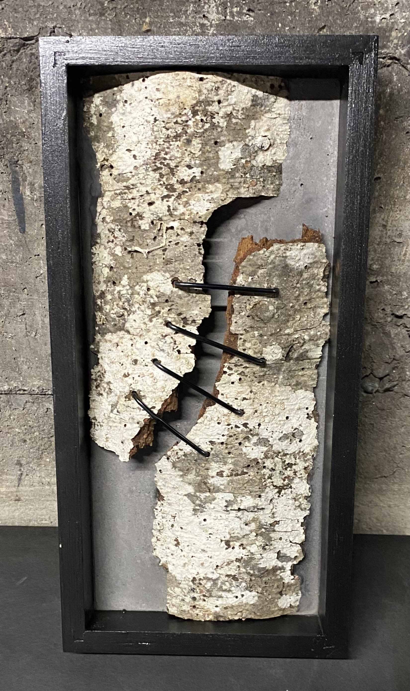 Prairie Bark with Stitches