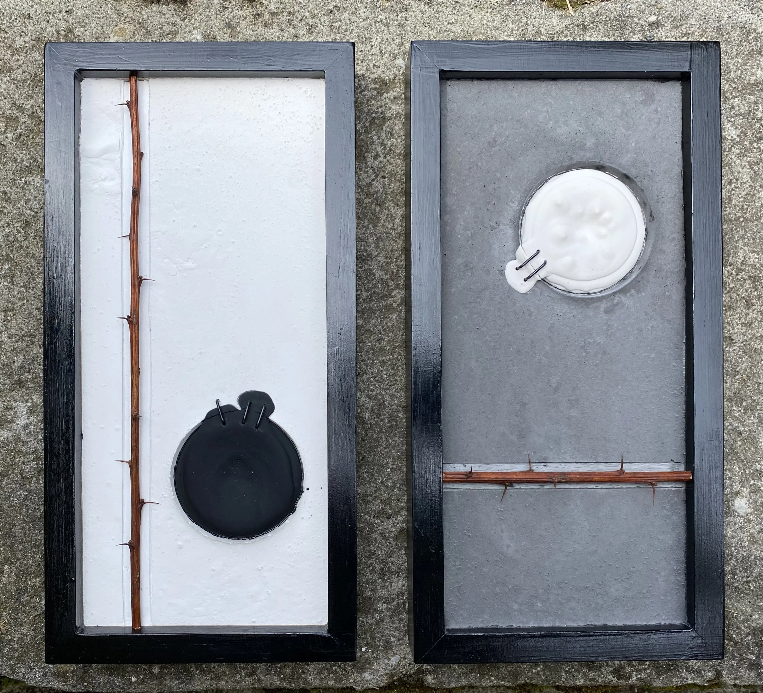 Black and White Diptych with Thorned Twigs and Stiches - SOLD
